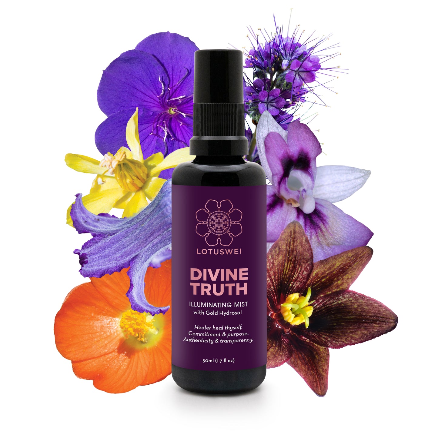 Divine Truth Mist