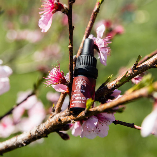Fierce Compassion Anointing Oil