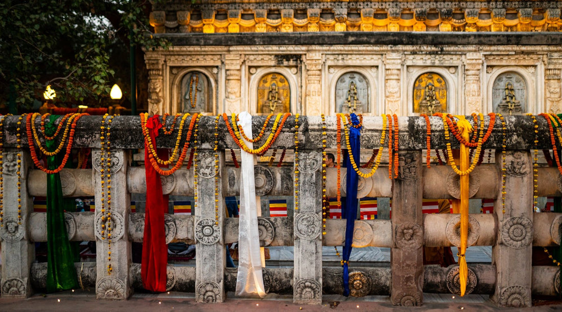 INDIA, PART II: The Magic of Bodhgaya 2013