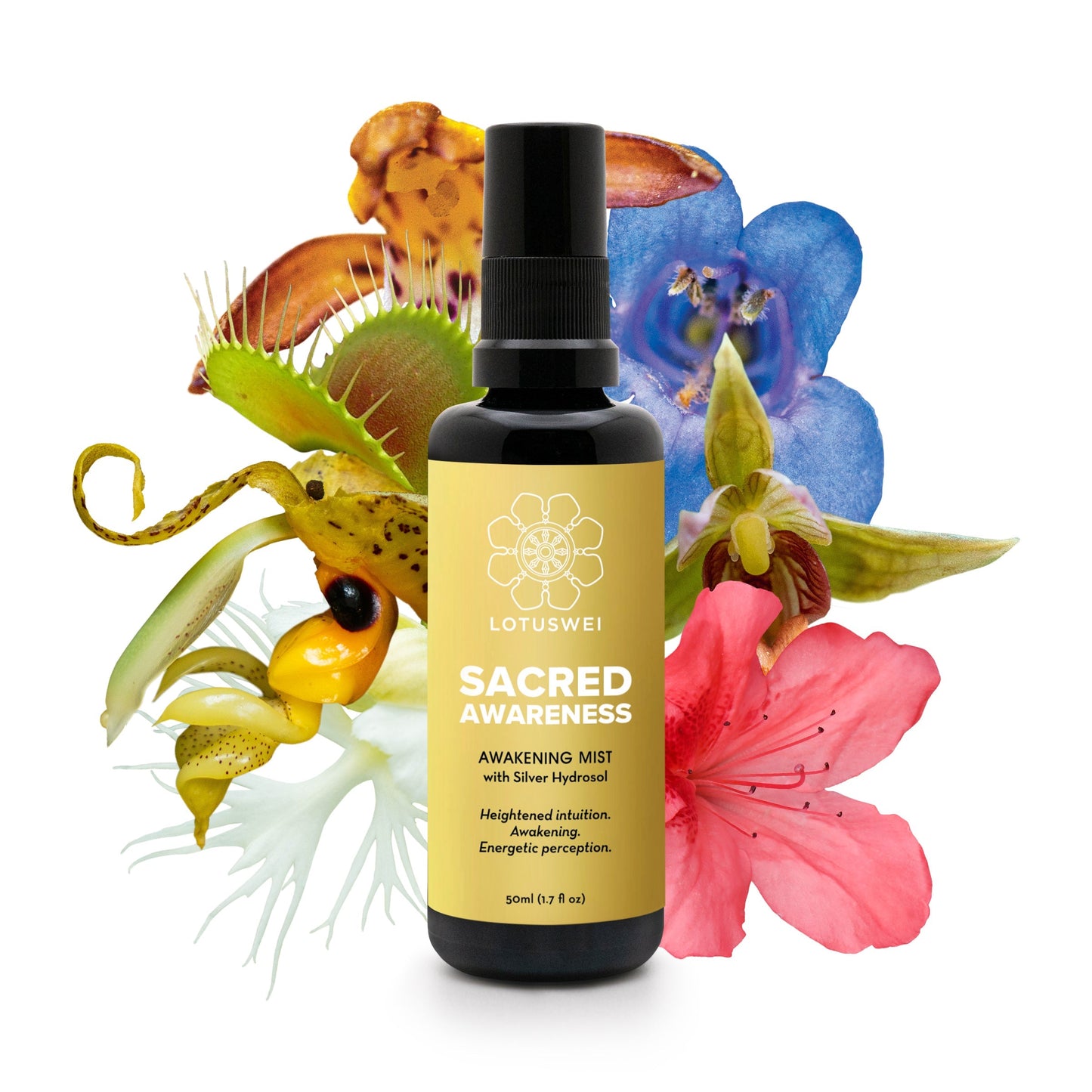 Sacred Awareness Mist