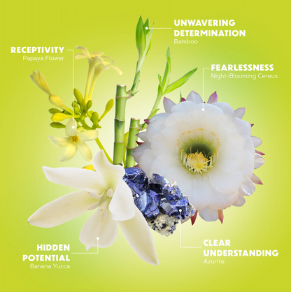 Full Bloom Serum